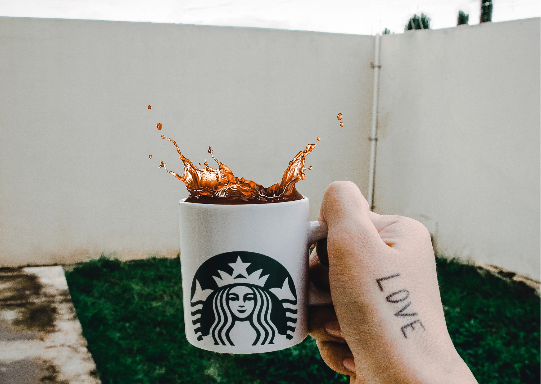 starbucks 6