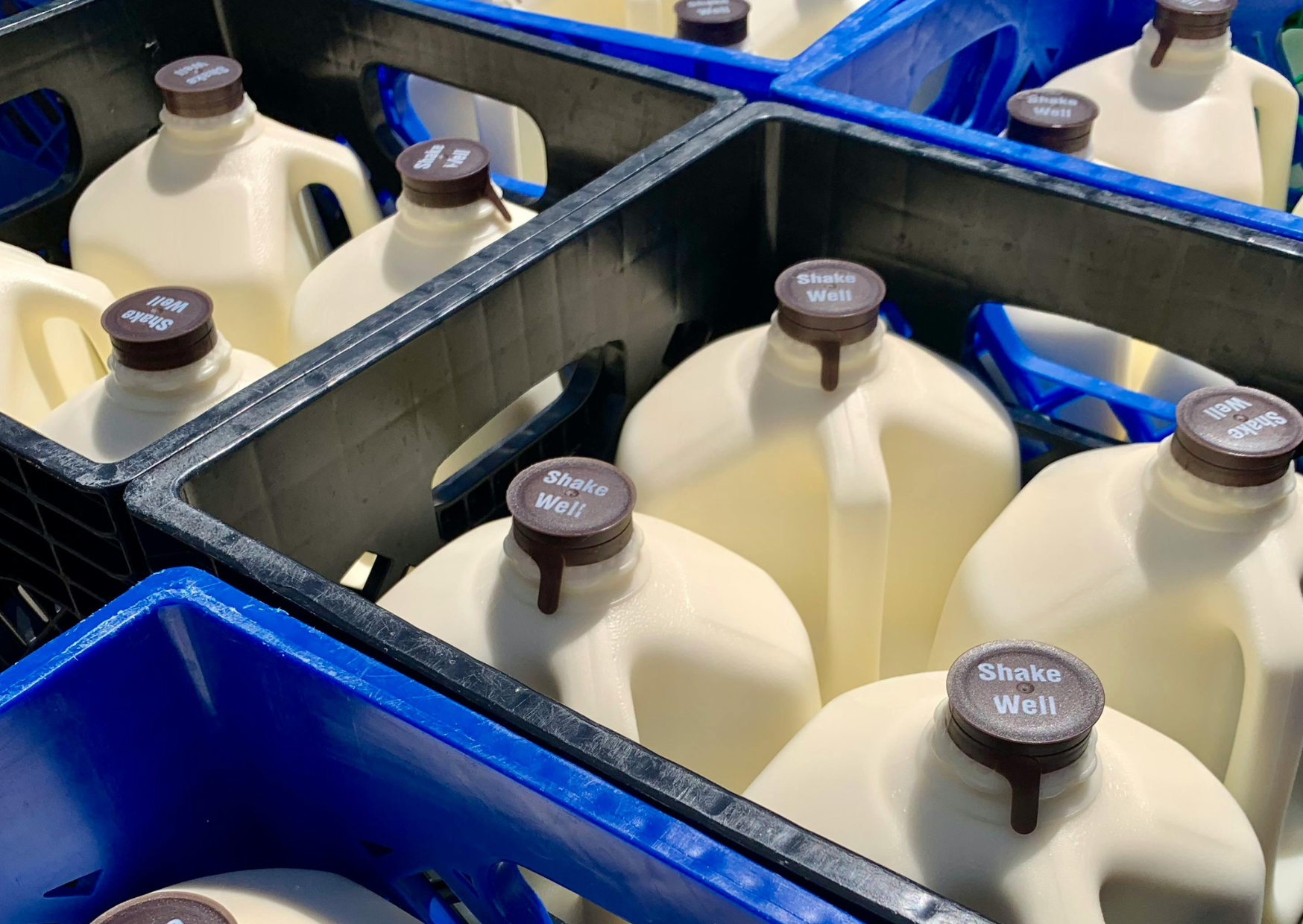 American dairy