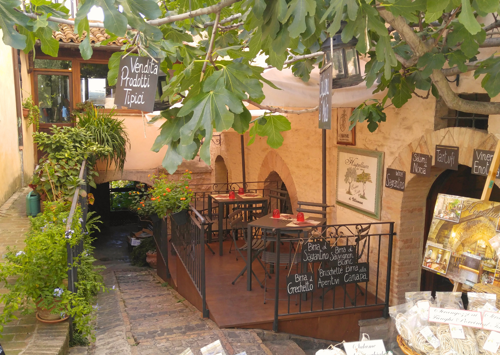 Italy Spello 2