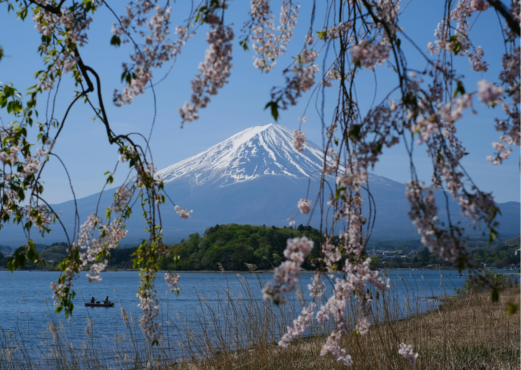 moving Japan