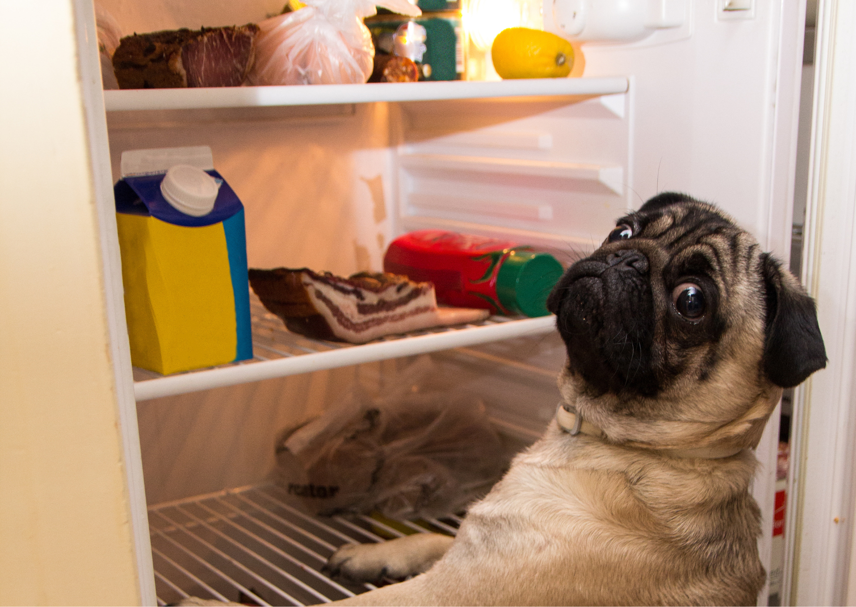 American fridge 6