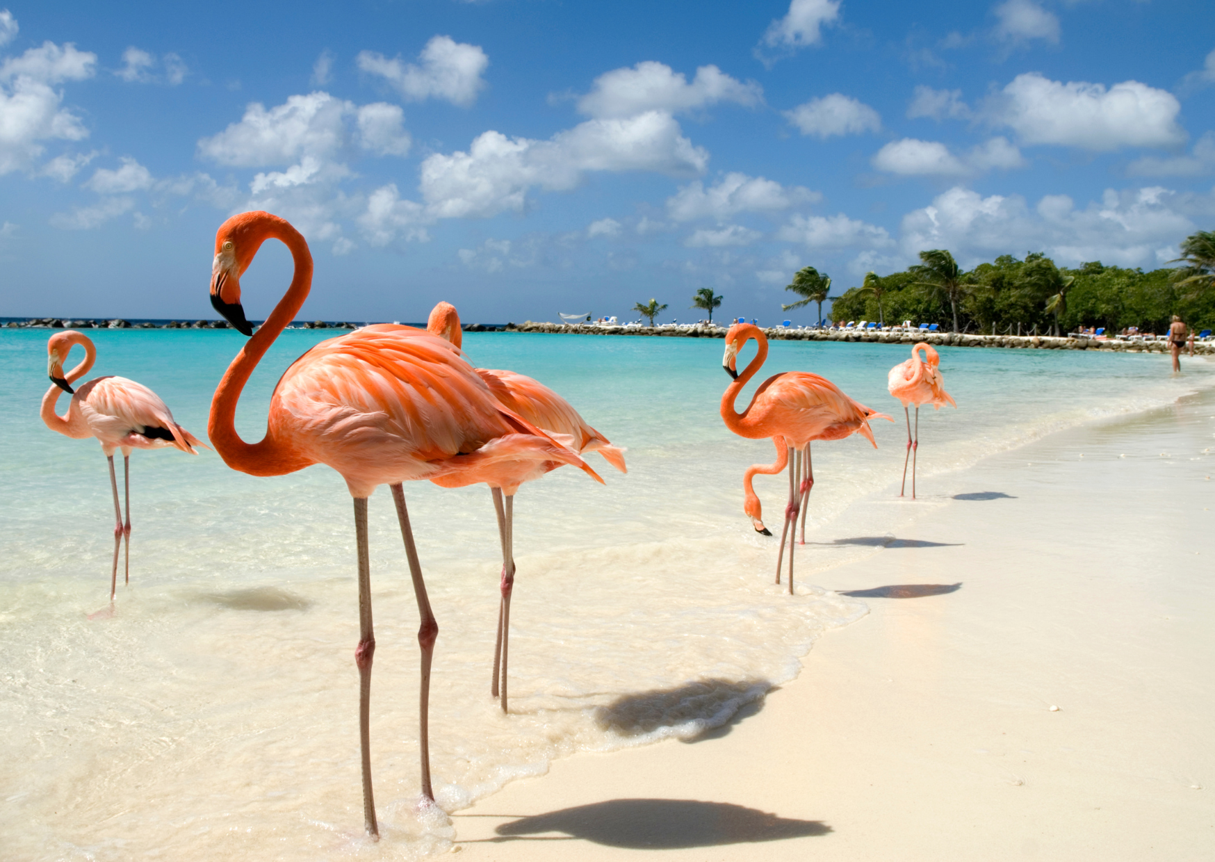 Carribean Aruba