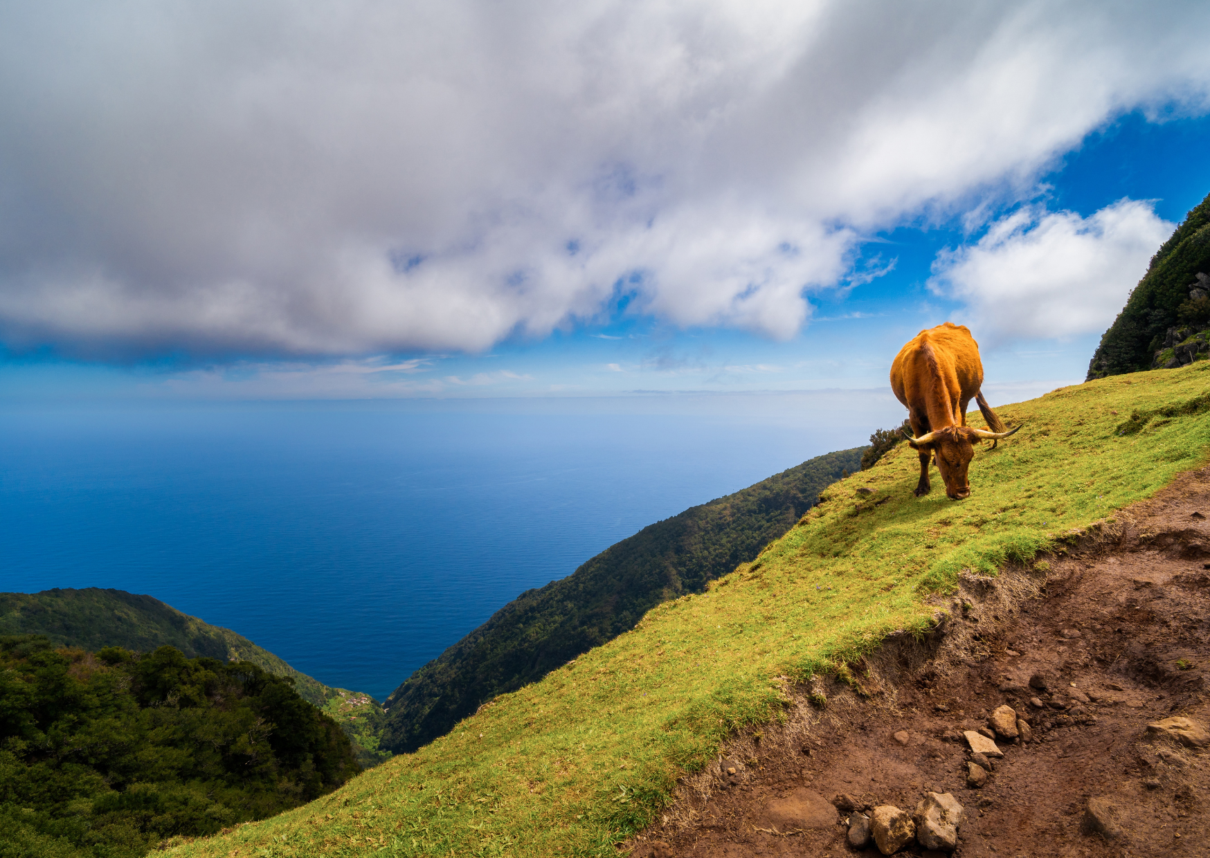 Madeira 2