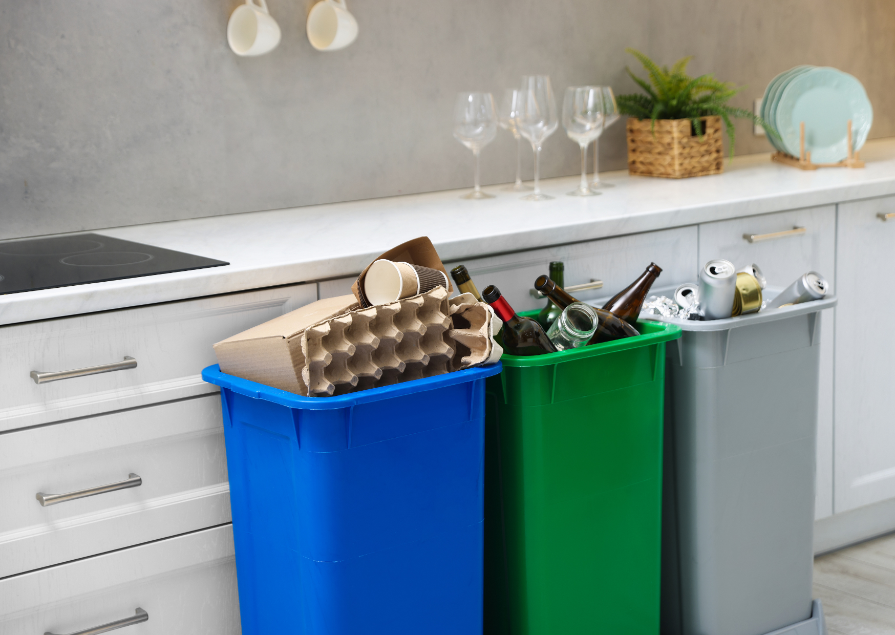 garbage disposals 4