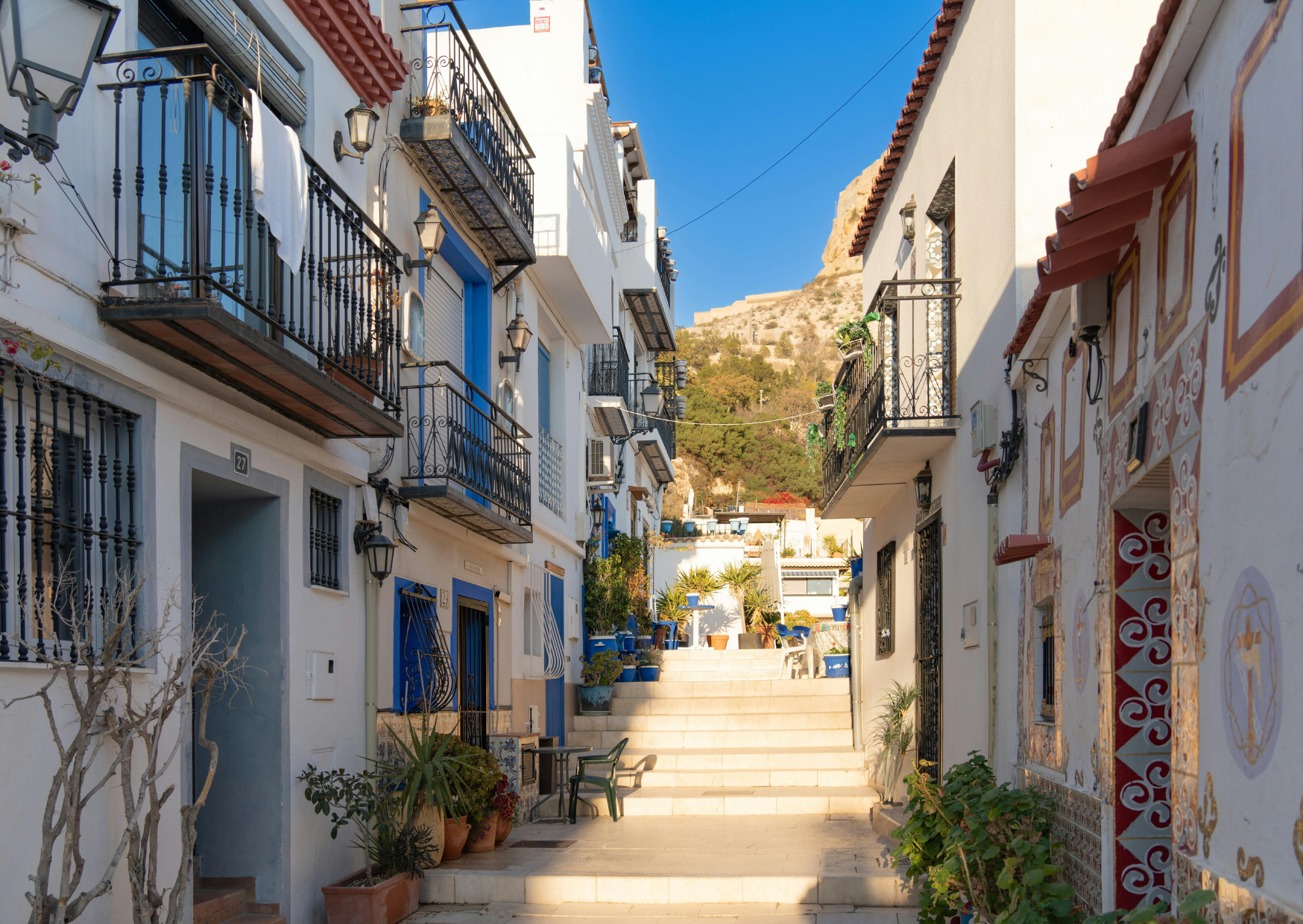 Alicante 3