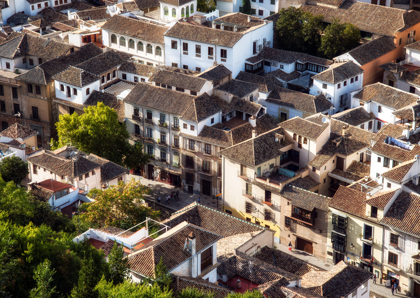 local home in Granada 6