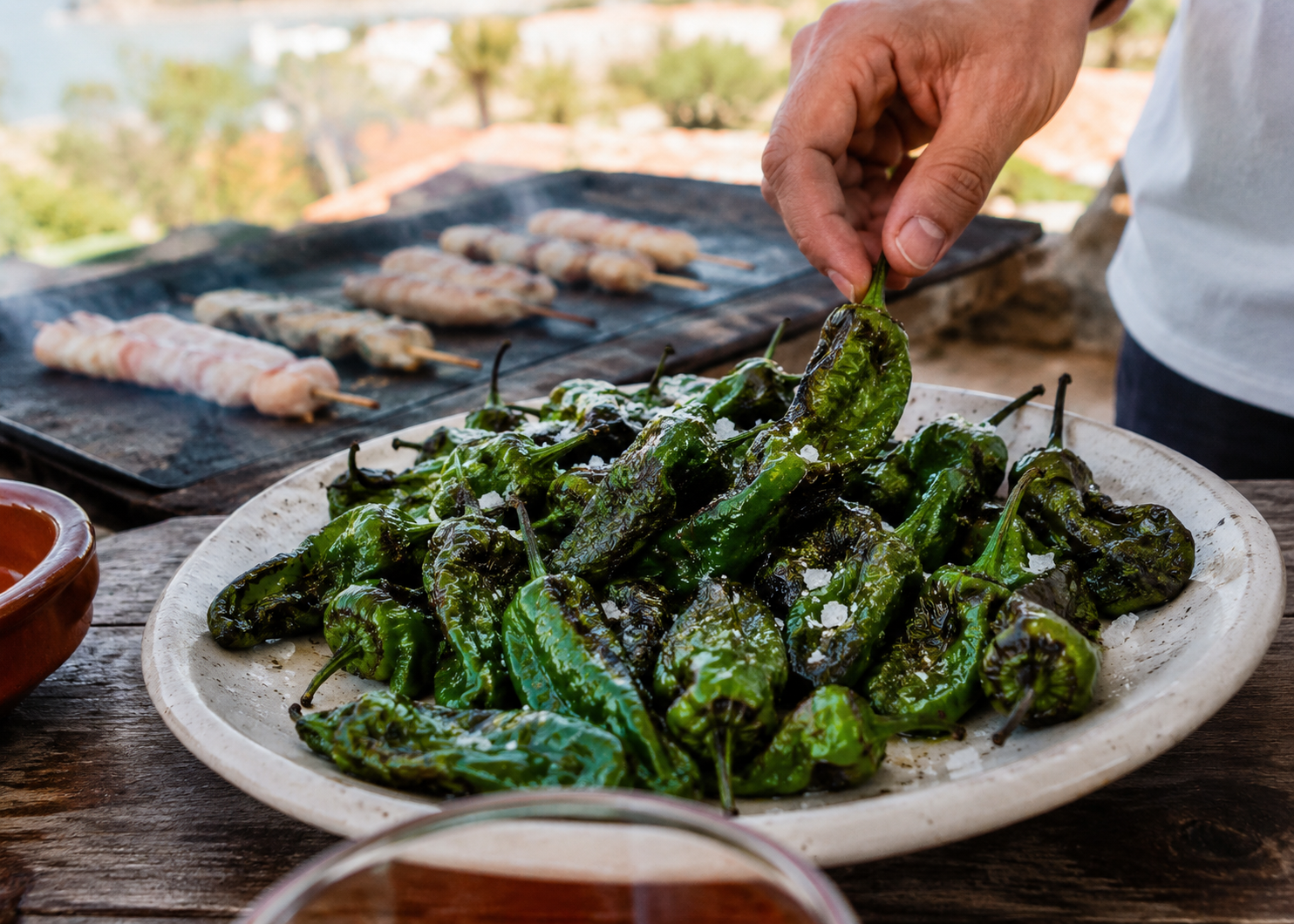barbecue 4
